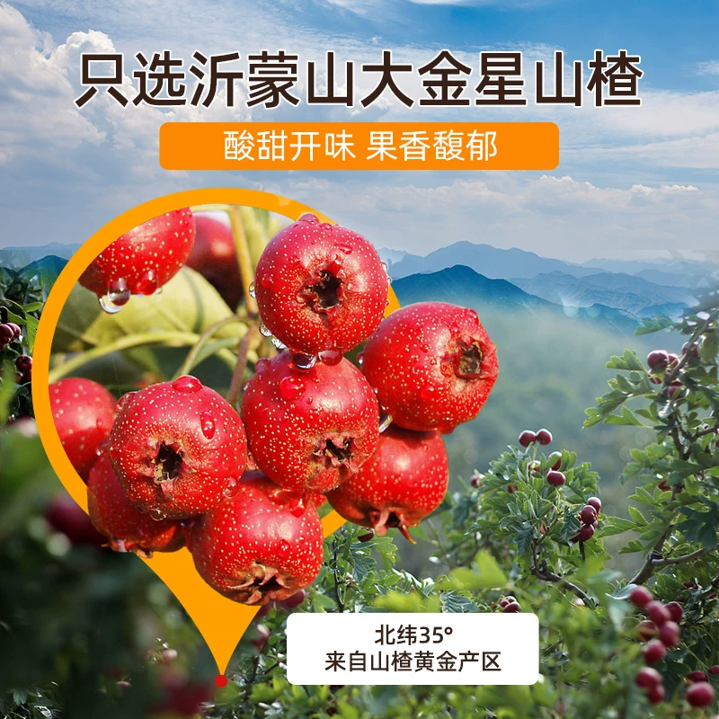 奔驰宝马奥迪变天！中国首次成德国最大汽车进口来源国